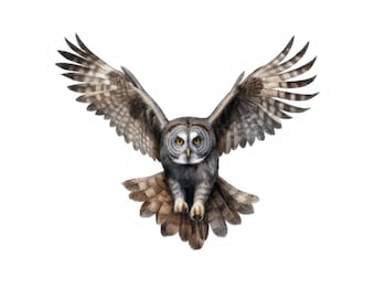 Owl Sticker, Flying Owl Vinyl Sticker, Glossy Waterproof Owl Sticker, Bird Decal, Laptop Sticker, Wildlife Art, Nature Sticker