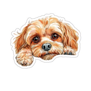 May include: A watercolor illustration of a small, light brown dog with curly fur. The dog is looking directly at the viewer with its head tilted slightly to the side. The dog's paws are visible in the bottom of the image.