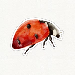 Cute Ladybug Vinyl Sticker, Glossy Ladybug Sticker, Waterproof Ladybug Decal, Insect Laptop Sticker, Red Ladybird Sticker Gift
