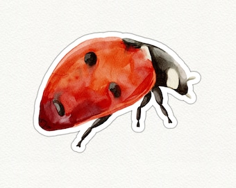 Cute Ladybug Vinyl Sticker, Glossy Ladybug Sticker, Waterproof Ladybug Decal, Insect Laptop Sticker, Red Ladybird Sticker Gift