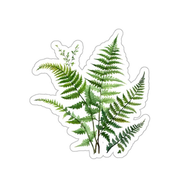 グリーンシダ植物ビニールステッカー、防水光沢自然ステッカー、環境に優しい、ノートパソコンやウォーターボトルに最適