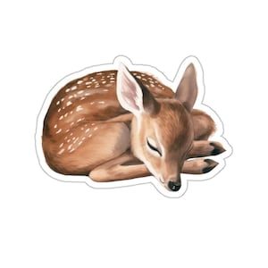 Sleeping Fawn Sticker, Cute Deer Decal, Laptop Sticker, Water Bottle Decoration, Gift for Nature Lovers, Woodland Animal Art