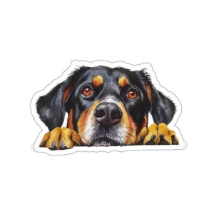 Entlebucher Sennenhund Aufkleber, wasserdichter Vinyl-Aufkleber für Laptop Wasserflasche Telefon Wand Auto Fenster Aufkleber Geschenk