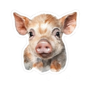 Cute Pig Stickers, Watercolor Art, Farm Animal Decal, Pig Lover Gift, Laptop Stickers, Water Bottle Sticker, Funny Stickers