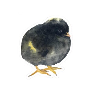 Cute Black Chick Sticker, Animal Vinyl Decal, Laptop Sticker, Water Bottle Sticker, Farm Animal Sticker, Easter Gift, Waterproof Sticker