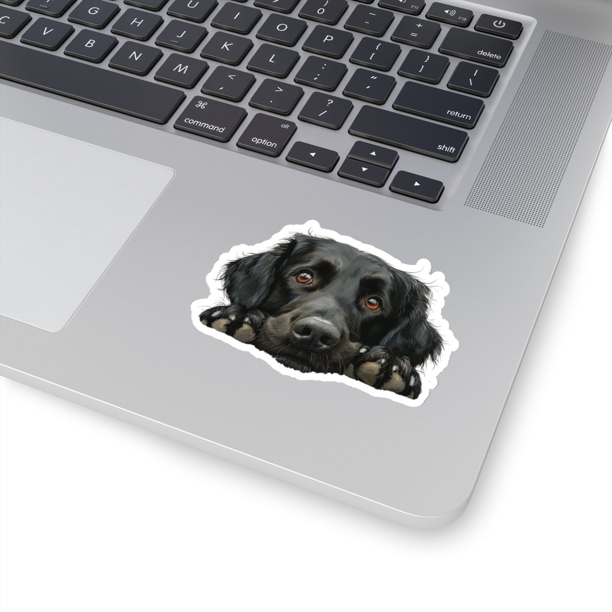 Odk Sticker Flat-coated Retriever Sticker, Peeking Dog Waterproof Vinyl Sticker for ...