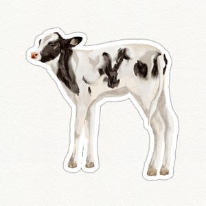 Cute Cow Vinyl Sticker, Farm Animal Sticker, Black and White Cow Decal, Laptop Sticker, Water Bottle Sticker, Gift for Cow Lovers