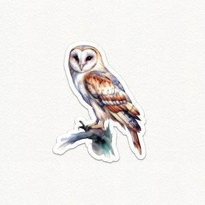 Watercolor Barn Owl Sticker, Wildlife Animal Vinyl Decal, Cute Owl Sticker for Water Bottle Laptop Journal, Owl Gift Idea