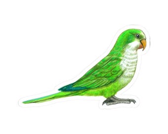 Green Parrot Vinyl Sticker Waterproof, Cute Green Bird Decal, Perfect Bird Lover Gift, Laptop or Water Bottle Sticker, Eco Friendly