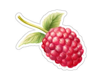 Pegatina de fruta de frambuesa, bonita pegatina de vinilo para botella de agua, pegatina brillante resistente al agua para ordenador portátil, teléfono, diario, agenda