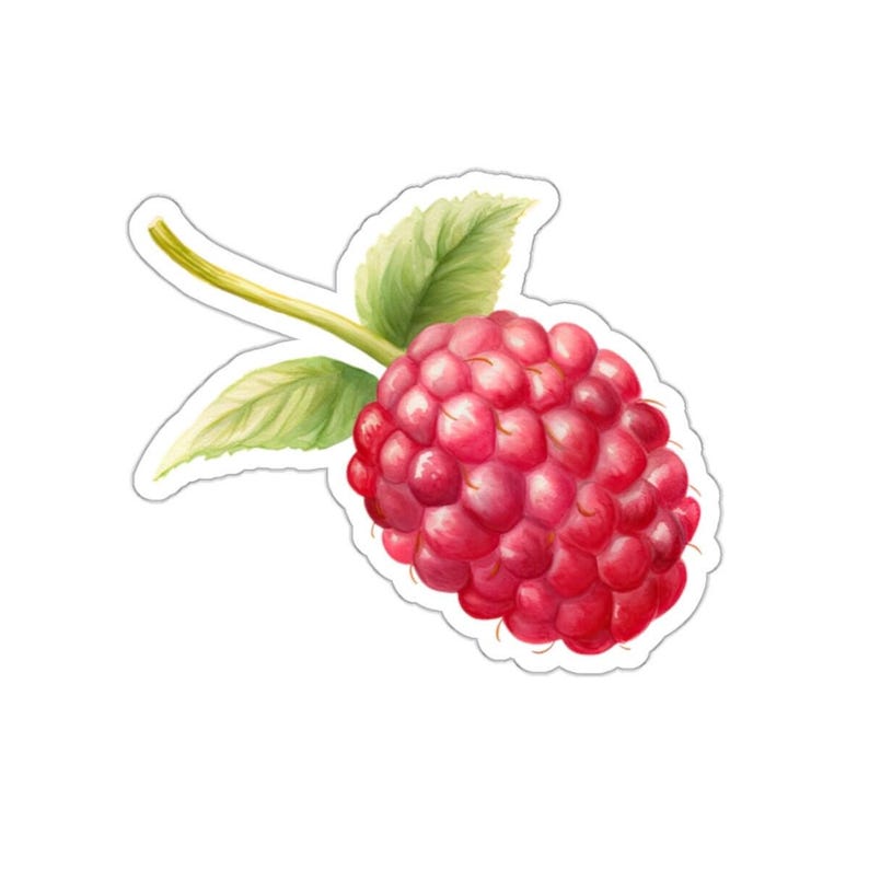 Raspberry Fruit Sticker, Cute Vinyl Sticker for Water Bottle, Glossy ...