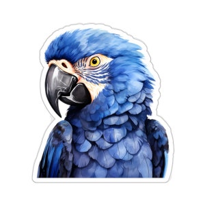 Bright Parrot Vinyl Sticker, Eco Friendly, Waterproof, Glossy Finish, Laptop, Water Bottle, Phone Decoration, Gift Idea