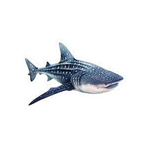 Whale Shark Sticker, Ocean Animal Vinyl Sticker, Waterproof and Glossy Decal, Cute and Funny Sea Life Sticker for Laptop
