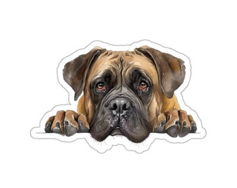 Op de afbeelding: Een bruine en zwarte Bullmastiff met bruine ogen kijkt over een wit oppervlak. De kop en poten van de hond zijn zichtbaar.
