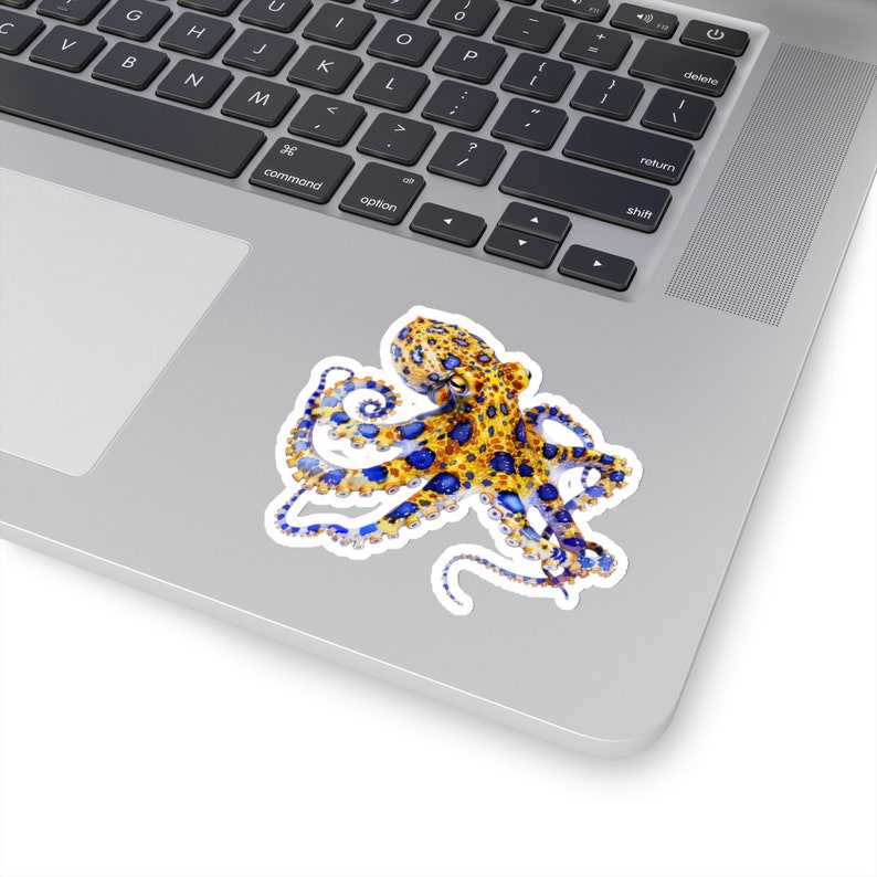 Colorful Octopus Sticker, Watercolor Vinyl Sticker for Laptop Water Bottle Car Window, Ocean Creature Decal, Nautical Home Decor, Squid Gift image 5