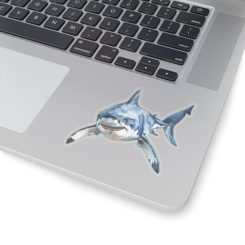 May include: A watercolor illustration of a great white shark with a white background. The shark is swimming towards the viewer with its mouth open, showing its sharp teeth.