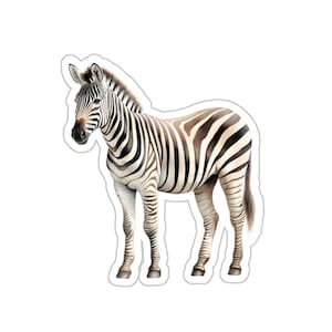 Realistic Zebra Sticker, African Animal Vinyl Decal, Waterproof Sticker for Laptop Water Bottle Car Window Wall, Striped Zebra Illustration