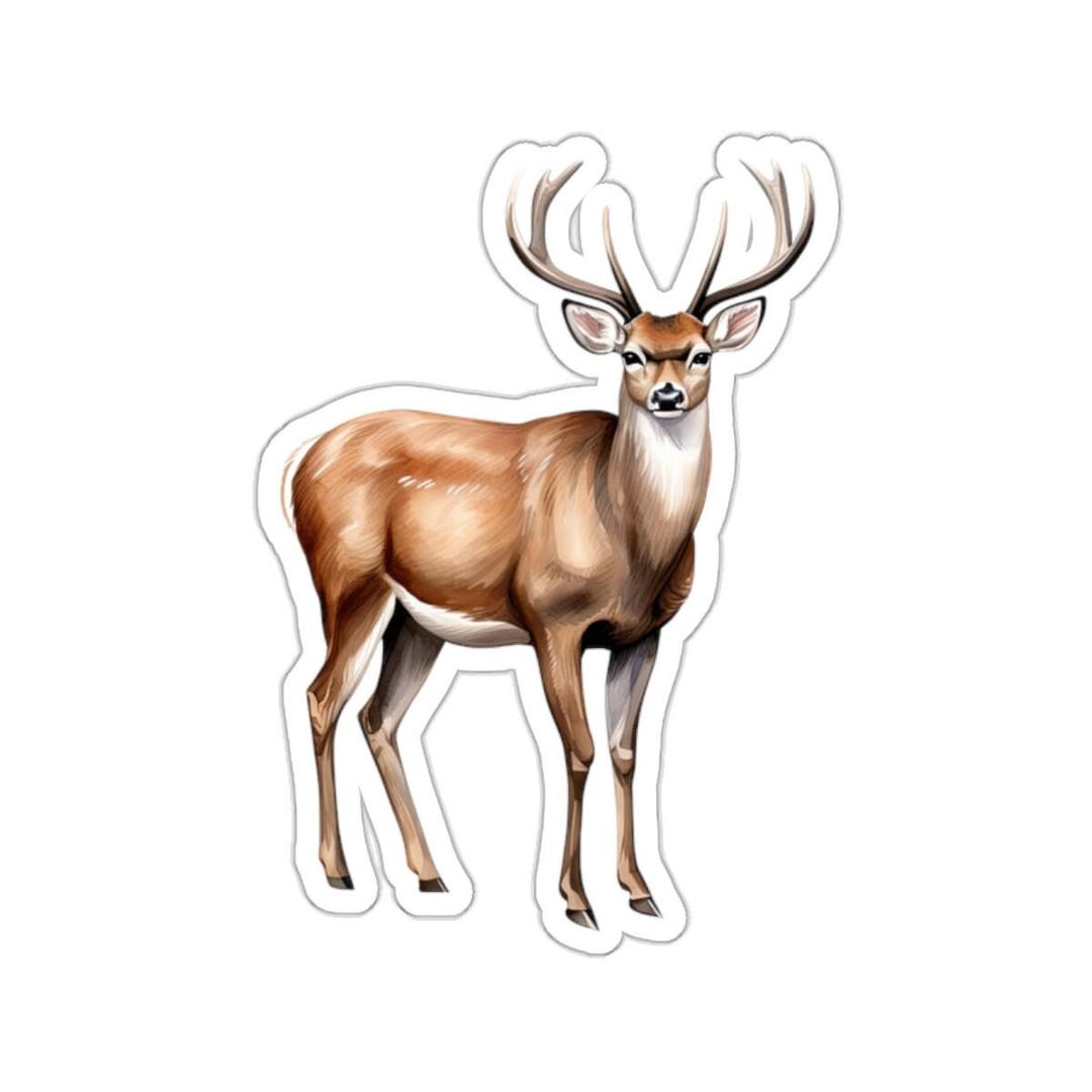 Watercolor Deer Sticker - Realistic Wildlife Vinyl Decal, Majestic ...