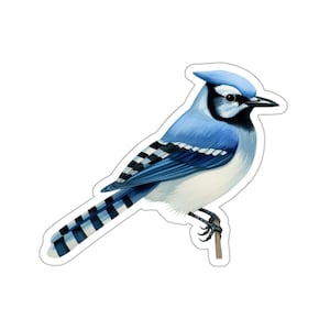 Blue Jay-vogelsticker, op de natuur geïnspireerde vinylsticker, waterfles of laptopdecor, cadeau voor vogelliefhebbers, natuurkunst
