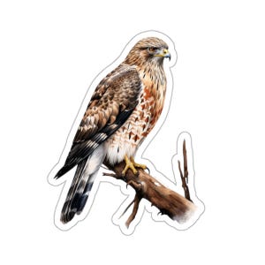 Realistic Hawk Bird Sticker, Watercolor Art Decal, Nature Lover Gift for Laptop, Water Bottle, Phone, Journal, Planner 2 3 4 6 Inch