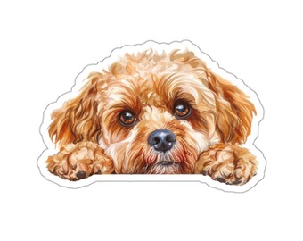 Etiqueta engomada de Cavapoo, pegatina de vinilo impermeable de perro mirando para ordenador portátil, botella de agua, teléfono, pared, ventana de coche, regalo