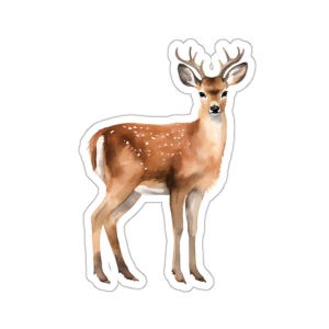 Deer Sticker, Watercolor Buck Decal, Woodland Animal Stickers, Cute Deer Stickers, Wildlife Stickers, Gift for Nature Lover