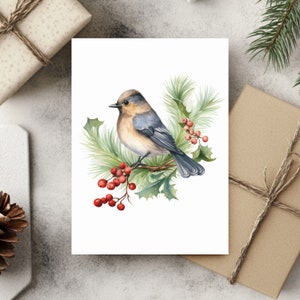 Conjunto de 10 cartões de Natal com pássaros, cartões postais de pássaros em aquarela, cartões de felicitações ecológicos com envelopes, pacote de papelaria festivo