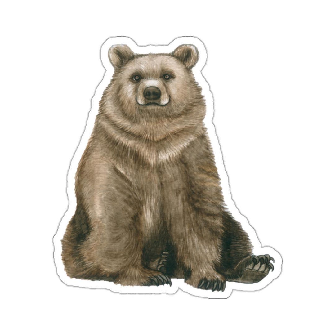 Watercolor Brown Bear Sticker, Wildlife Art Decal - Etsy