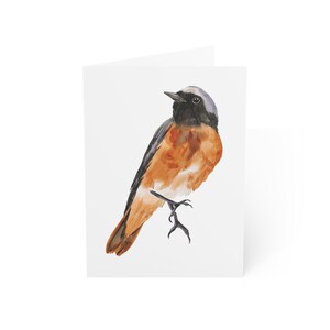 Lot de 10 cartes de voeux oiseaux aquarelles ou une carte pliée avec enveloppe, intérieur vierge, coffret cadeau papeterie cartes postales aquarelles