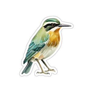 Colorful Bird Vinyl Sticker, Watercolor Art Bird Decal, Bird Lover Gift, Nature Themed Sticker, Glossy Waterproof Vinyl Bird Sticker