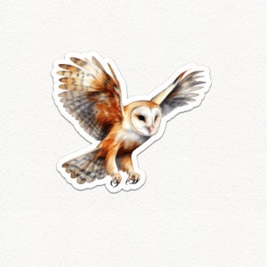 Barn Owl Vinyl Sticker, Glossy Waterproof Owl Decal, Wildlife Bird Sticker, Laptop Sticker, Cute Owl Sticker, 2-6 Inch Sticker