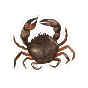 Crab Sticker, Watercolor Art Decal, Cute Crab Lover Gift, Funny Stickers, Laptop Stickers, Waterproof Stickers