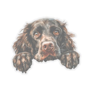 Boykin Spaniel Sticker, Peeking Dog Waterproof Vinyl Sticker For Laptop Water Bottle Phone Wall Car Window Decal Gift image 9