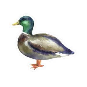 Cute Duck Vinyl Sticker, Waterproof, Glossy, Eco-Friendly Inks, Perfect for Laptop, Water Bottle, Window, Phone, Journal, Planner