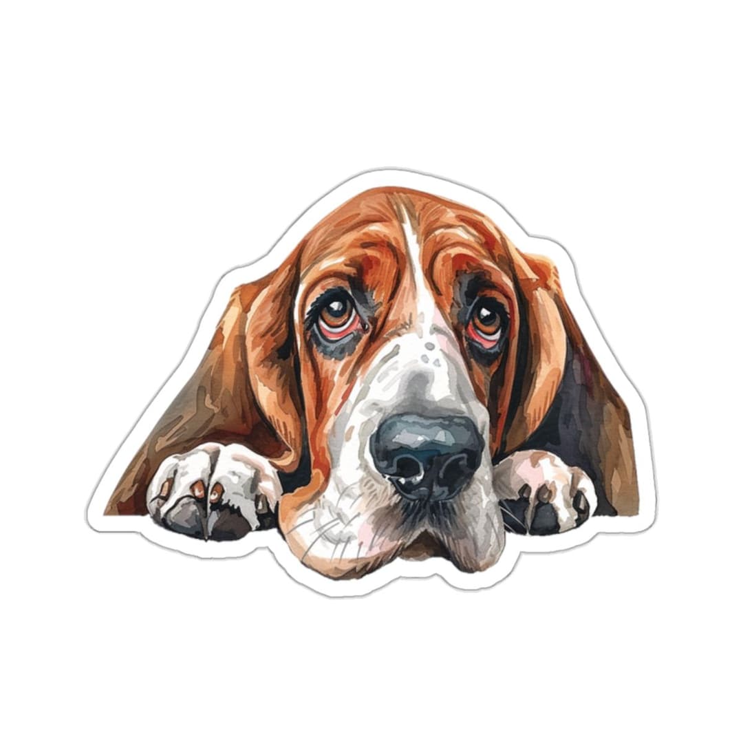 Adesivo Cane Basset Hound 3D – Impermeabile 30x30 Cm Per Auto, Pareti, Vetro – Regalo Amanti Animali - 2