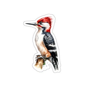 Bellissimo adesivo picchio, regalo per amanti degli uccelli, decalcomania per laptop, decorazione naturale, illustrazione di uccelli ad acquerello, adesivo naturale