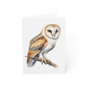 Cartões de felicitações de coruja de celeiro, pacote com 10 ou cartão dobrado individualmente com envelope, em branco por dentro, conjunto de papelaria para presente com cartão postal de pássaro realista em aquarela