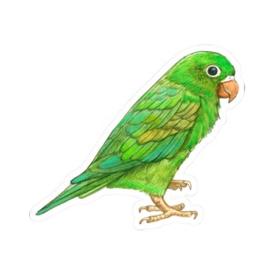 Cute Green Parrot Sticker, Eco Friendly Vinyl Decal, Parakeet Art, Glossy Waterproof Parrot Sticker for Laptop and Water Bottle