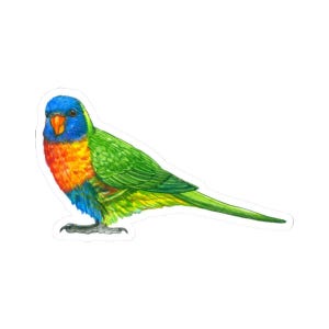 Cute Colorful Parrot Vinyl Sticker, Rainbow Bird Decal for Laptops, Water Bottles, Journals, Great Gifts for Bird Lovers