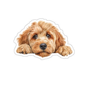 Goldendoodle Aufkleber, Peeking Dog Wasserdichter Vinyl Aufkleber für Laptop Wasserflasche Telefon Wand Auto Fenster Aufkleber Geschenk
