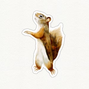 Cute Squirrel Vinyl Sticker, Woodland Animal Decal, Watercolor Squirrel, Eco-Friendly Waterproof Sticker, Laptop Decoration