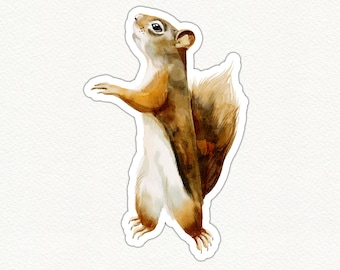 Cute Squirrel Vinyl Sticker, Woodland Animal Decal, Watercolor Squirrel, Eco-Friendly Waterproof Sticker, Laptop Decoration