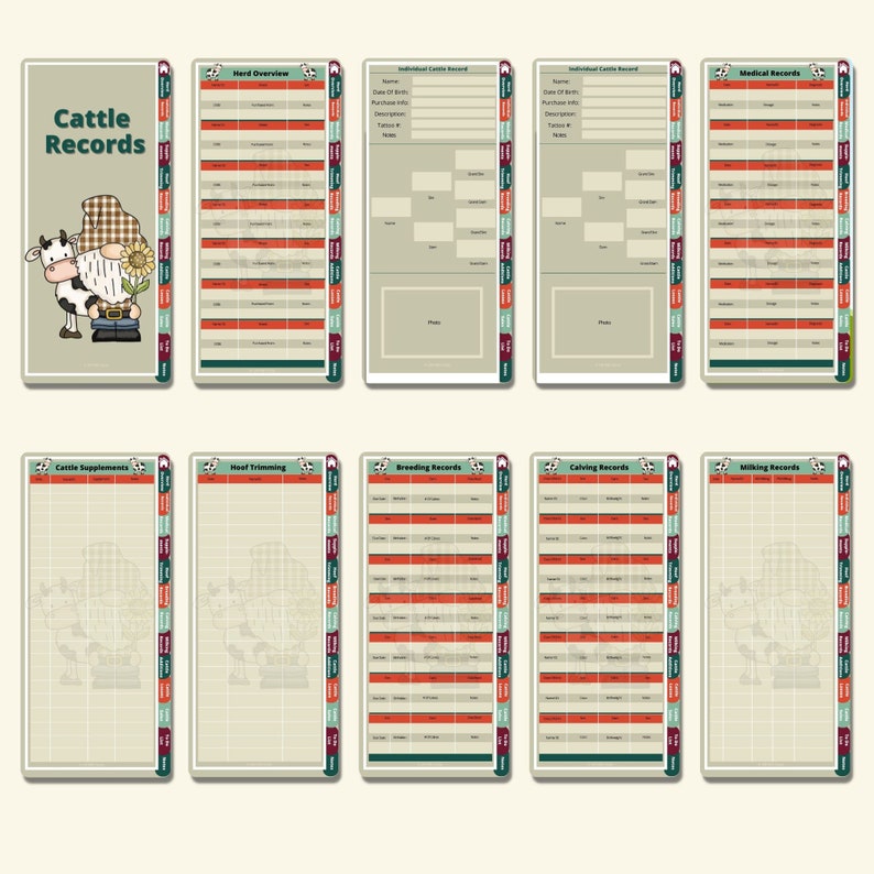 Op de afbeelding: Een printbare rundveehouderijplanner met secties voor een overzicht van de kudde, individuele rundveegegevens, medische dossiers, rundveevoedingssupplementen, hoefverzorging, fokregistraties, kalfregistraties en melkrecorded.