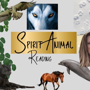 Spirit Animal Reading Psychic Clairvoyant