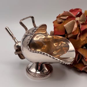 Op de afbeelding: Een zilveren suikerpot met een bijpassende lepel. De kom heeft een handvat en een decoratieve, parelrand. De lepel rust aan de zijkant van de kom. De kom staat op een ronde voet. Gedroogde oranje en rode bloemen staan op de achtergrond.