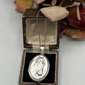 May include: A silver locket necklace with a horse head design. The locket is in a small brown box with a white interior.