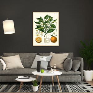 vintage orange print in room