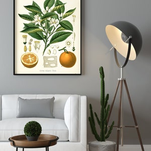 vintage orange print in room