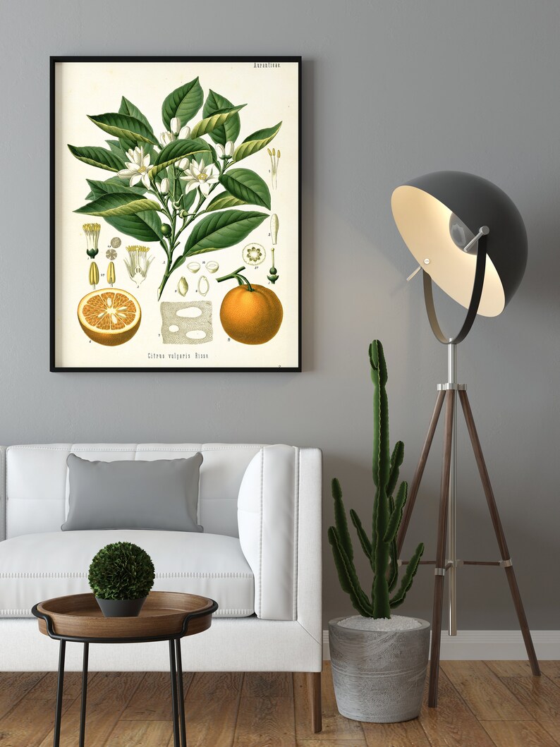 vintage orange print in room