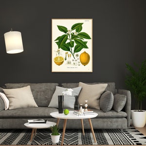 vintage Lemon print in living room